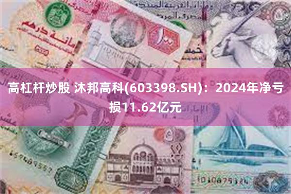高杠杆炒股 沐邦高科(603398.SH)：2024年净亏损11.62亿元