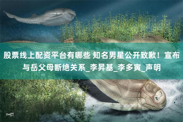 股票线上配资平台有哪些 知名男星公开致歉！宣布与岳父母断绝关系_李昇基_李多寅_声明