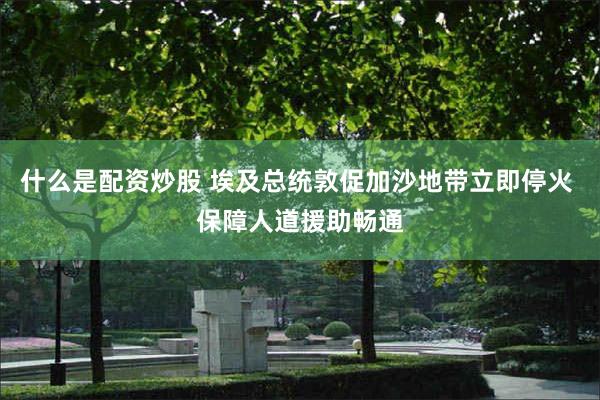什么是配资炒股 埃及总统敦促加沙地带立即停火 保障人道援助畅通