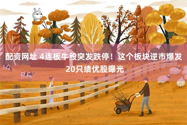 配资网址 4连板牛股突发跌停！这个板块逆市爆发 20只绩优股曝光