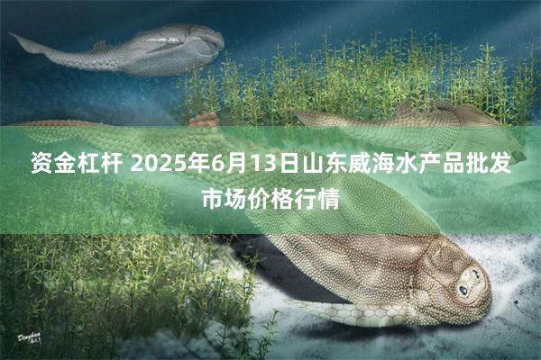 资金杠杆 2025年6月13日山东威海水产品批发市场价格行情